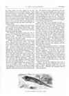 Thumbnail 0014 of St. Nicholas. November 1875