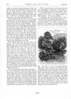 Thumbnail 0022 of St. Nicholas. November 1875