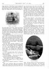 Thumbnail 0027 of St. Nicholas. November 1875
