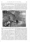 Thumbnail 0031 of St. Nicholas. November 1875