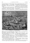 Thumbnail 0048 of St. Nicholas. November 1875