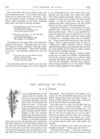 Thumbnail 0030 of St. Nicholas. February 1876
