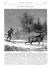 Thumbnail 0035 of St. Nicholas. February 1876