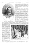 Thumbnail 0017 of St. Nicholas. October 1877