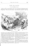 Thumbnail 0024 of St. Nicholas. October 1877
