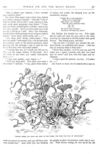 Thumbnail 0039 of St. Nicholas. November 1877