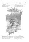 Thumbnail 0016 of St. Nicholas. December 1887