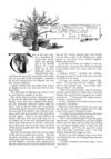 Thumbnail 0051 of St. Nicholas. December 1887