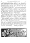 Thumbnail 0016 of St. Nicholas. April 1888