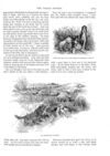 Thumbnail 0020 of St. Nicholas. April 1888