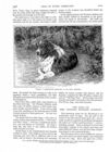 Thumbnail 0039 of St. Nicholas. June 1888