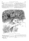 Thumbnail 0050 of St. Nicholas. June 1888