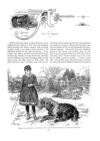 Thumbnail 0056 of St. Nicholas. June 1888