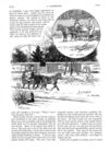 Thumbnail 0057 of St. Nicholas. June 1888