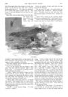 Thumbnail 0041 of St. Nicholas. August 1888