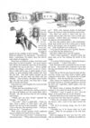 Thumbnail 0029 of St. Nicholas. September 1888