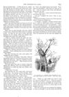 Thumbnail 0058 of St. Nicholas. September 1888