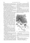 Thumbnail 0059 of St. Nicholas. September 1888