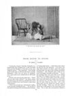 Thumbnail 0015 of St. Nicholas. October 1888