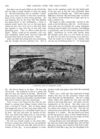 Thumbnail 0011 of St. Nicholas. November 1888