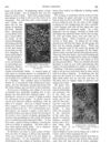 Thumbnail 0043 of St. Nicholas. November 1888
