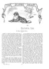 Thumbnail 0018 of St. Nicholas. December 1888