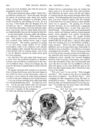 Thumbnail 0024 of St. Nicholas. December 1888