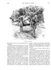 Thumbnail 0029 of St. Nicholas. December 1888