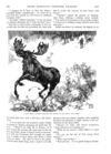 Thumbnail 0048 of St. Nicholas. December 1888