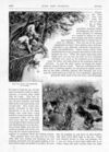 Thumbnail 0062 of St. Nicholas. January 1887
