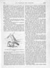 Thumbnail 0061 of St. Nicholas. March 1887