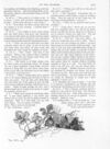 Thumbnail 0034 of St. Nicholas. May 1889