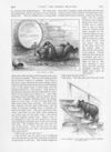 Thumbnail 0061 of St. Nicholas. May 1889