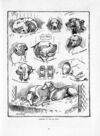 Thumbnail 0073 of St. Nicholas. July 1889