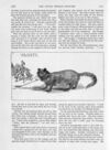 Thumbnail 0042 of St. Nicholas. August 1889