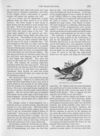 Thumbnail 0049 of St. Nicholas. August 1889