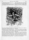 Thumbnail 0057 of St. Nicholas. August 1889