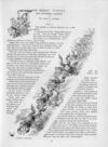 Thumbnail 0069 of St. Nicholas. August 1889