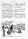 Thumbnail 0045 of St. Nicholas. September 1889