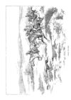 Thumbnail 0006 of St. Nicholas. November 1889