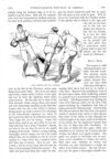 Thumbnail 0075 of St. Nicholas. December 1889