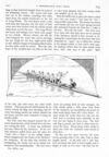 Thumbnail 0026 of St. Nicholas. August 1890