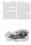 Thumbnail 0033 of St. Nicholas. August 1890