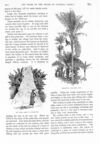 Thumbnail 0044 of St. Nicholas. August 1890