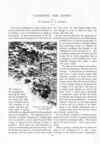 Thumbnail 0033 of St. Nicholas. September 1890