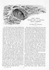 Thumbnail 0058 of St. Nicholas. September 1890
