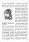 Thumbnail 0077 of St. Nicholas. September 1890