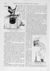 Thumbnail 0058 of St. Nicholas. January 1891
