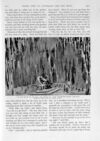 Thumbnail 0065 of St. Nicholas. January 1891