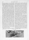 Thumbnail 0072 of St. Nicholas. January 1891